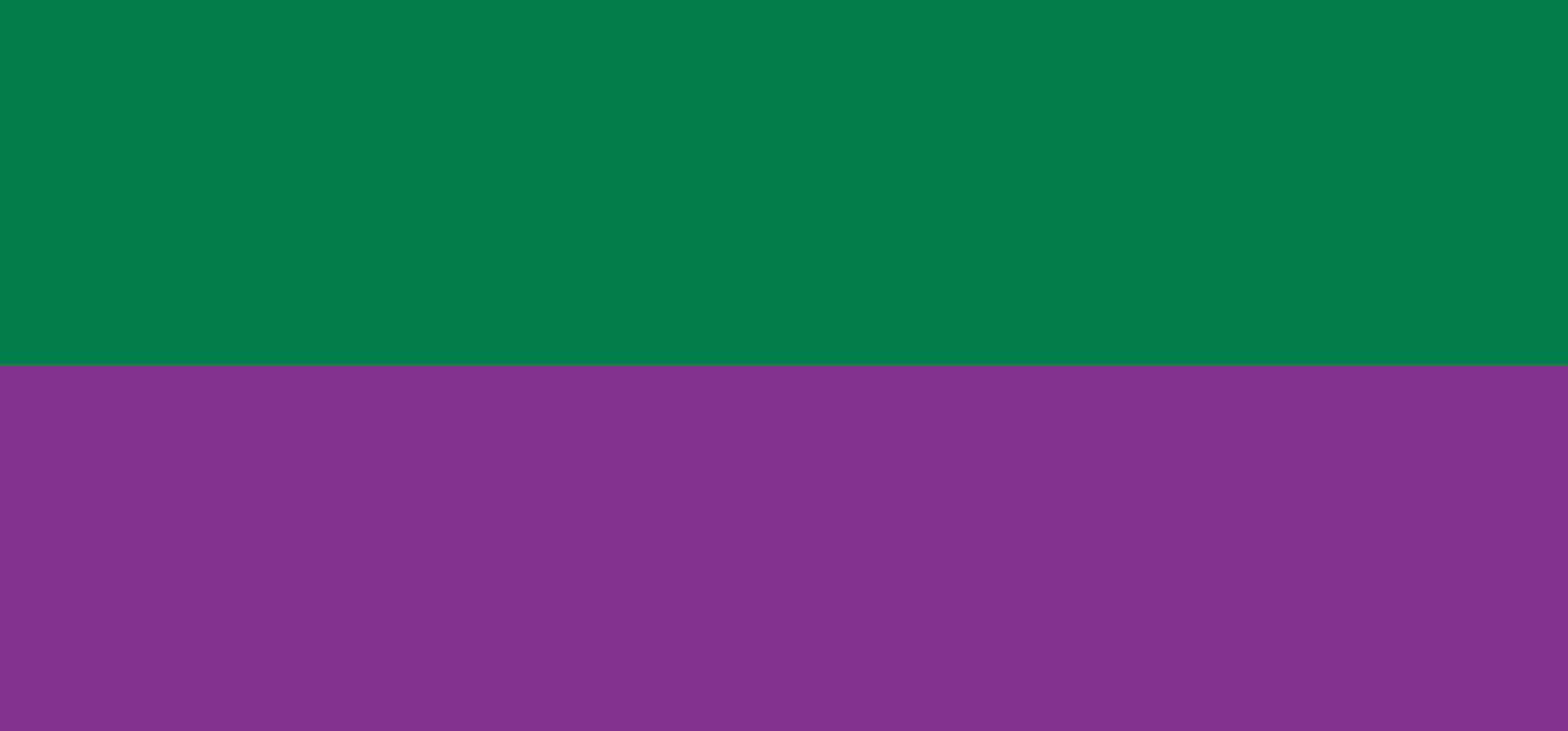 suffrage banner web